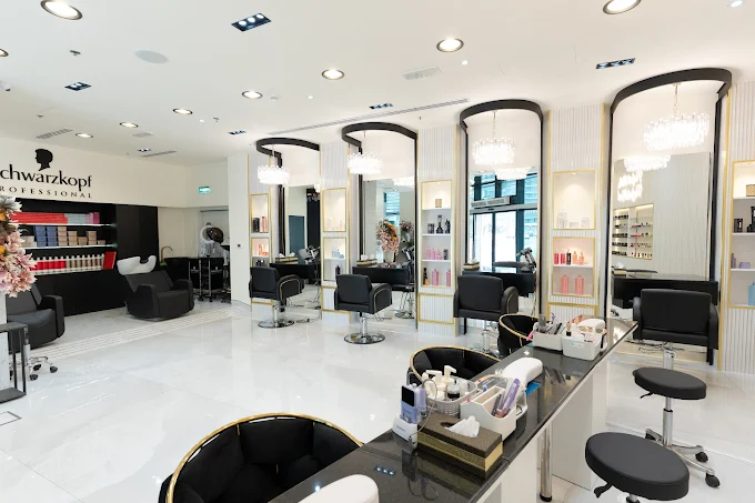Helin Eren Beauty Salon digital brand and lead generation project by BlackShine Technologies