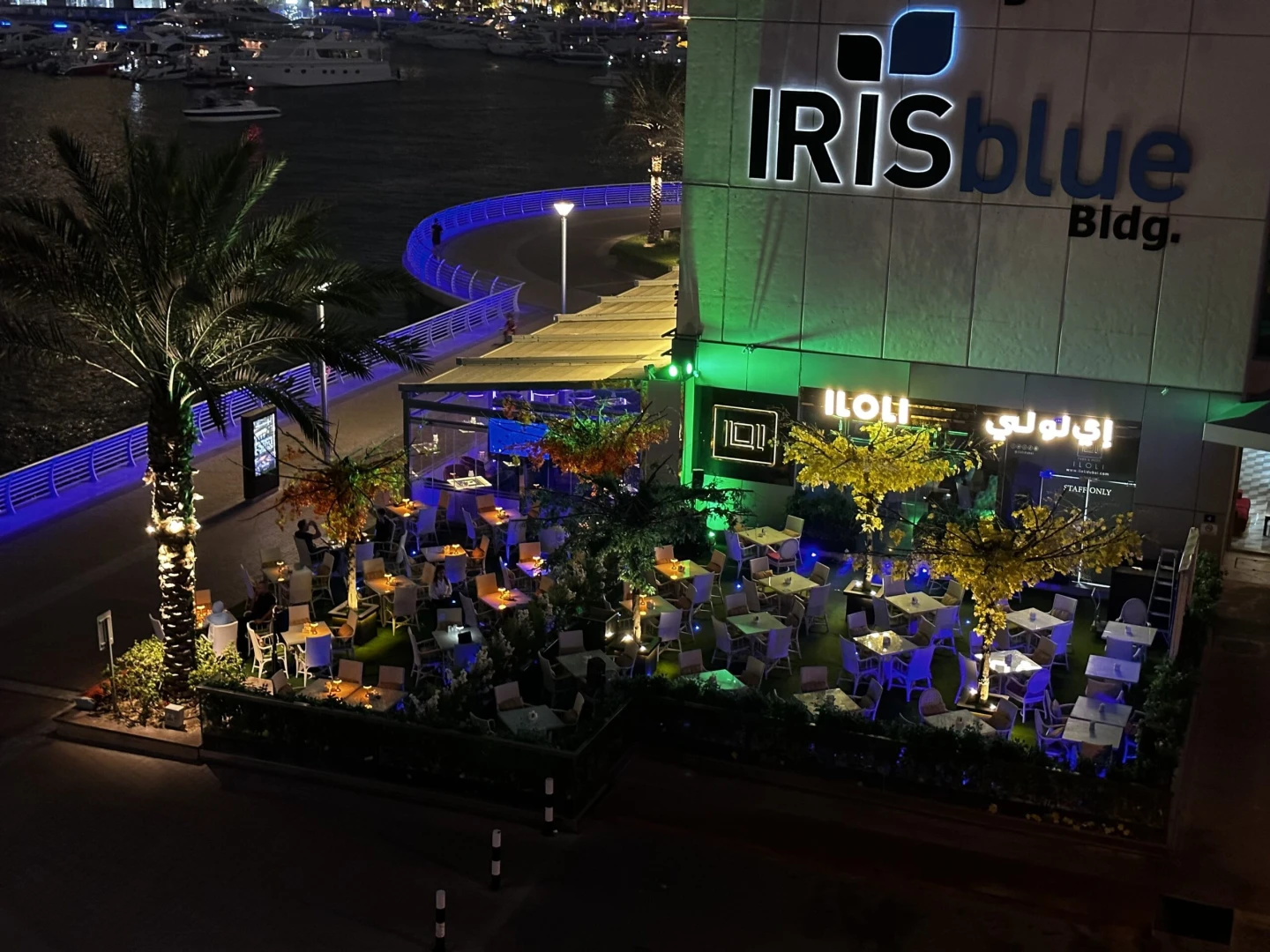 ILOLI Dubai website and digital growth project by BlackShine Technologies